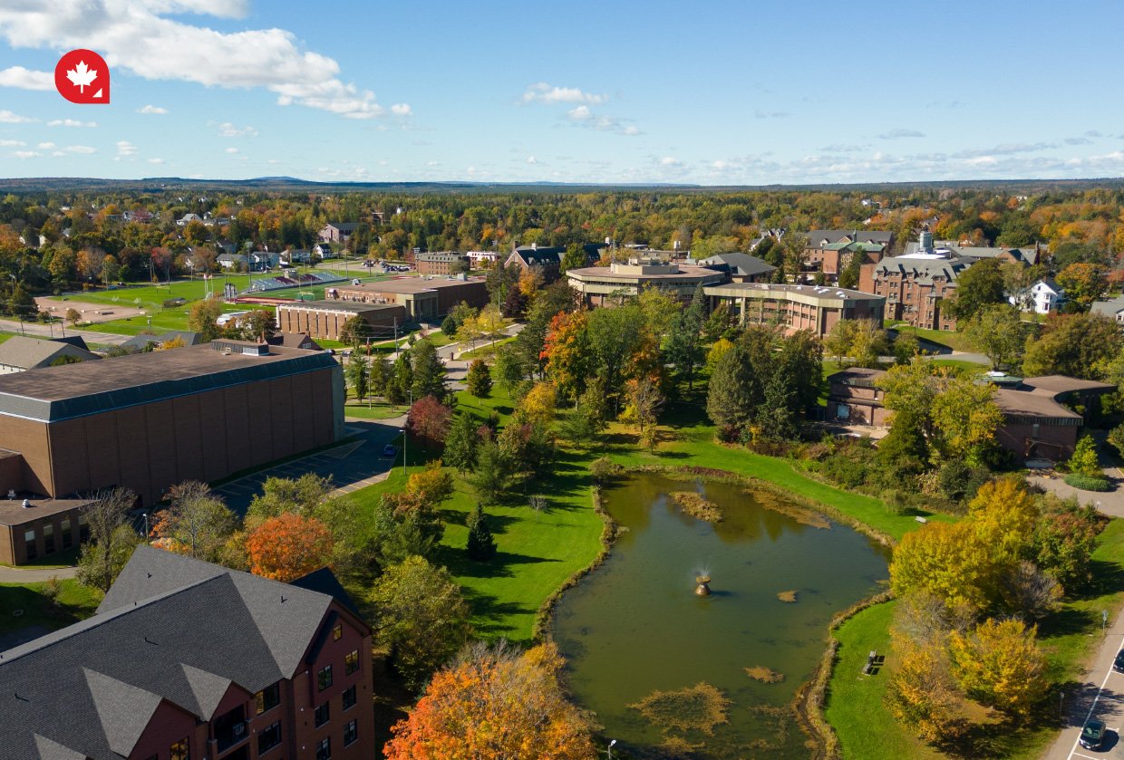 Study in Canada Best Universities in Canada to Get a Job After Graduation